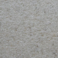 Texture Image Here